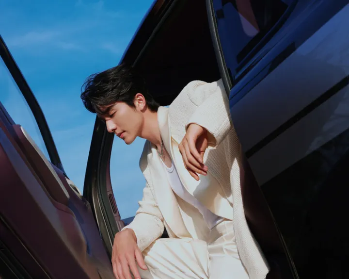 张新成的影视探索记