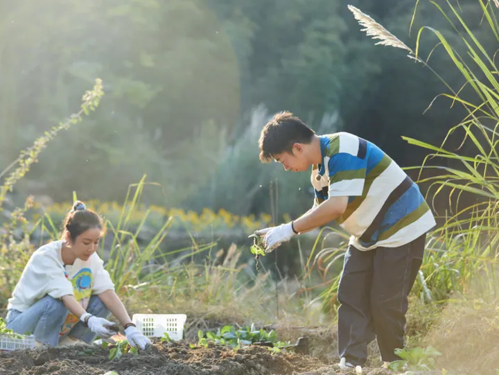 幽默背后的励志故事