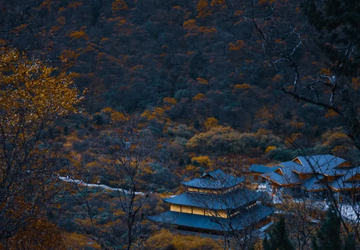 川西与新疆的风光对话