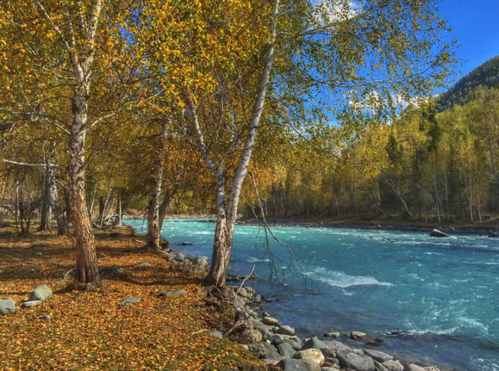 川西与新疆的风光对话