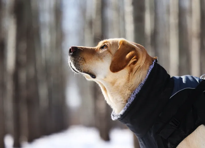 现代生活中的心灵慰藉