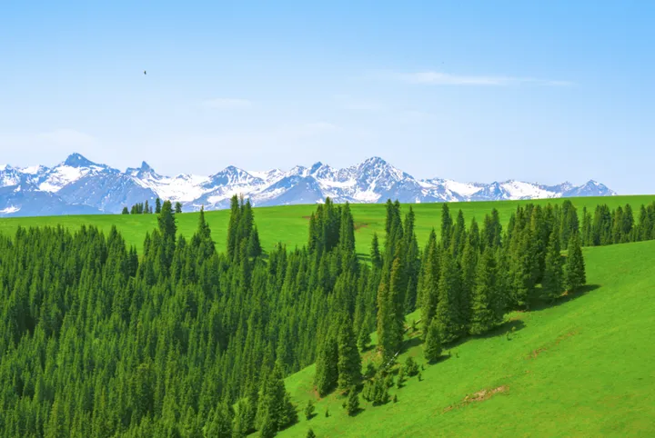 当代人的旅行观