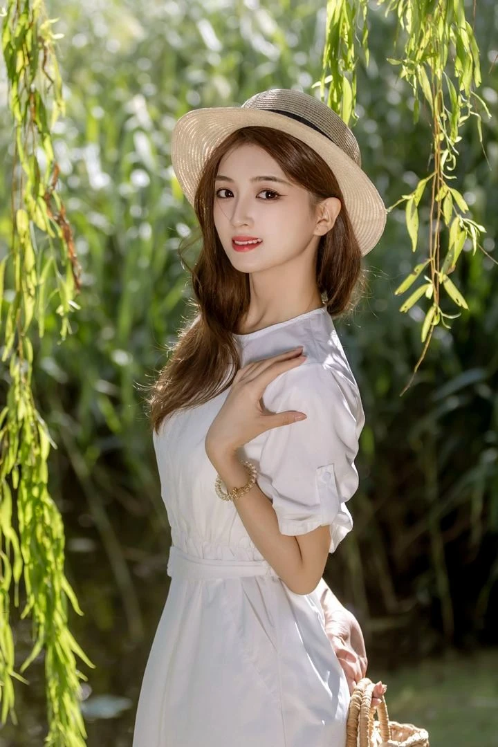 永不褪色的优雅