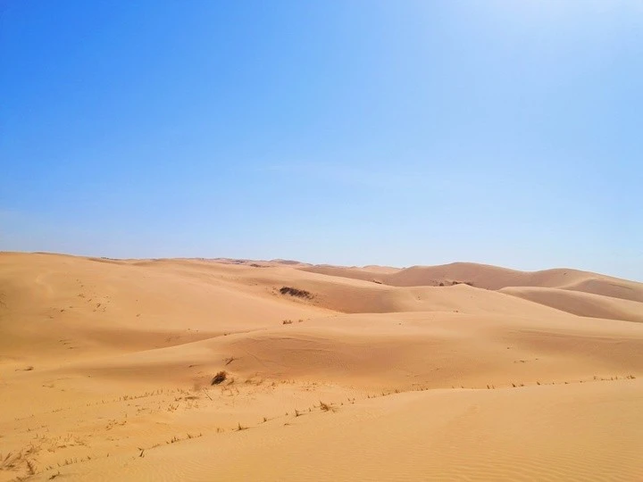 沙漠探险不迷茫