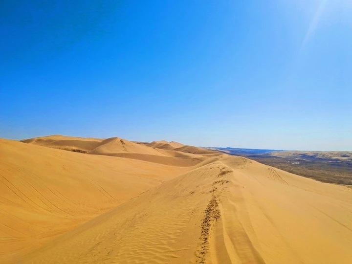 沙漠探险不迷茫