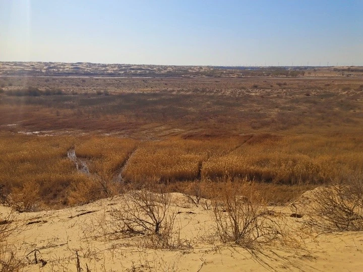 沙漠探险不迷茫