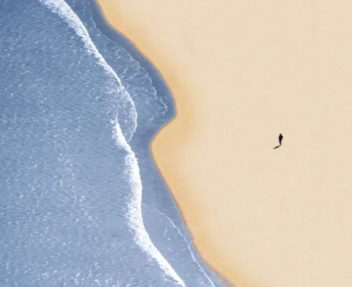 走近青海奇观:一睹“大地之树”的非凡魅力