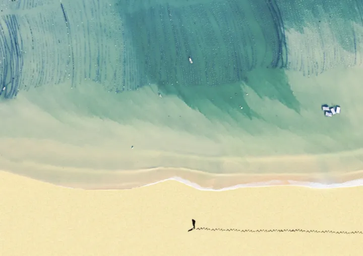 走近青海奇观:一睹“大地之树”的非凡魅力