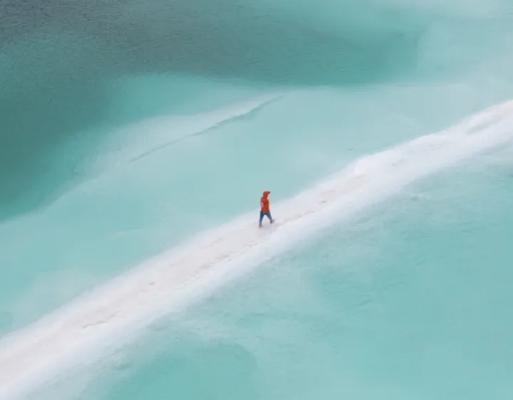 走近青海奇观:一睹“大地之树”的非凡魅力