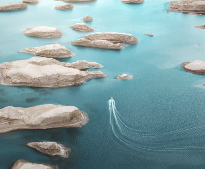 走近青海奇观:一睹“大地之树”的非凡魅力