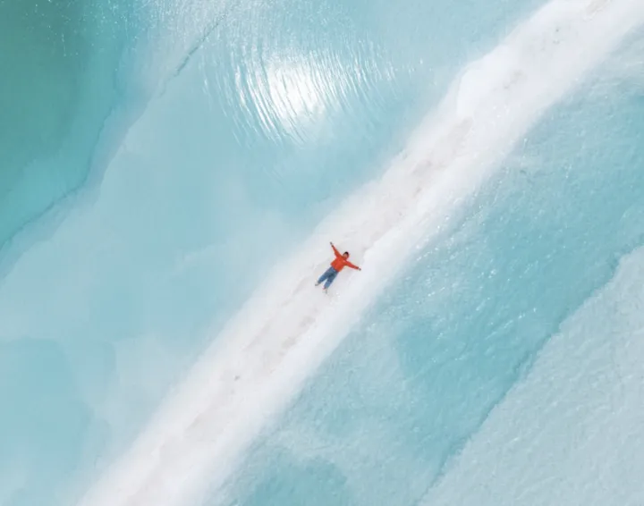 走近青海奇观:一睹“大地之树”的非凡魅力