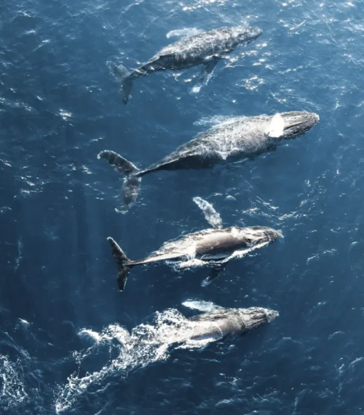 环游世界不是梦