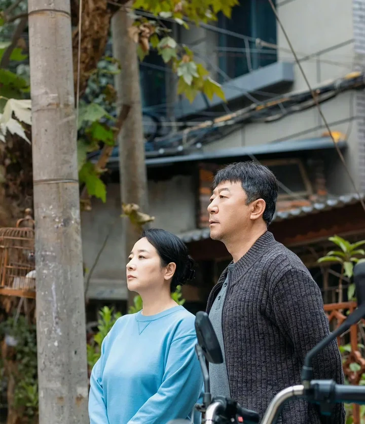 张小斐最新电视作品