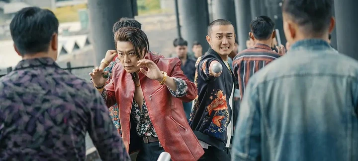 张小斐最新电视作品