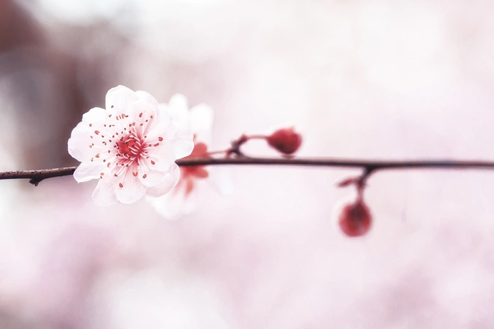 这是一篇来自春天的文章