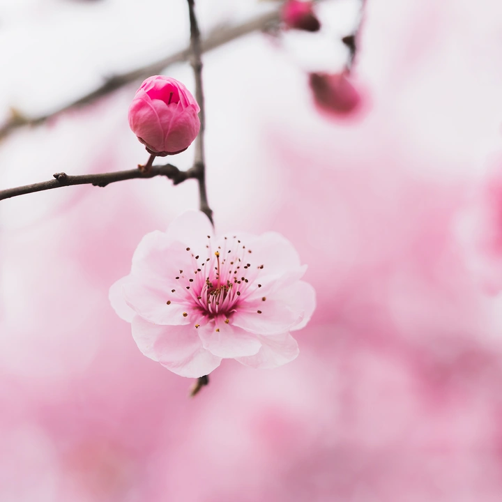 这是一篇来自春天的文章