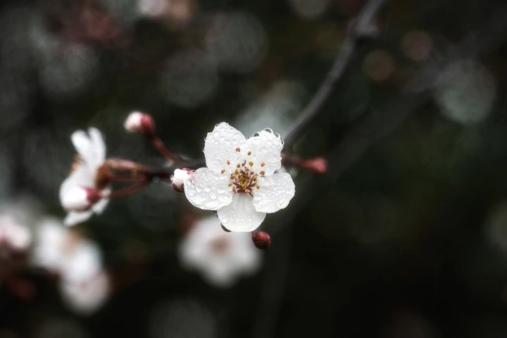 这是一篇来自春天的文章