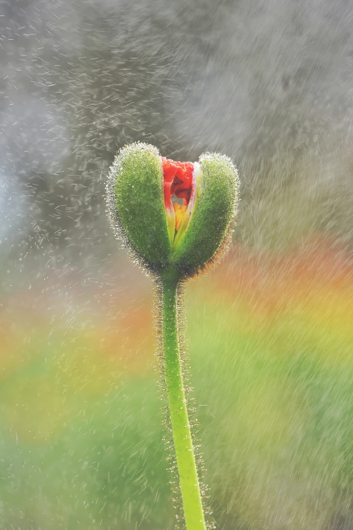 这是一篇来自春天的文章