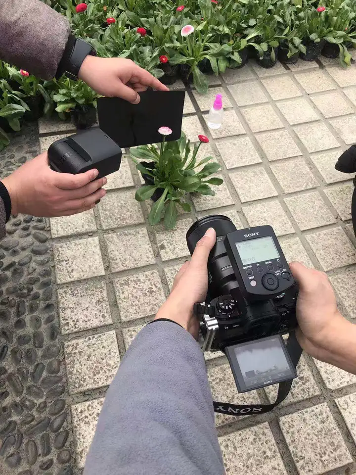 这是一篇来自春天的文章