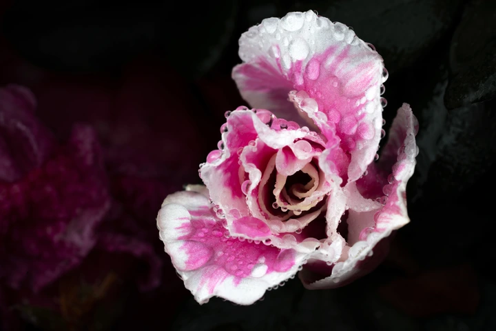 这是一篇来自春天的文章