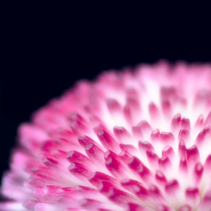 这是一篇来自春天的文章