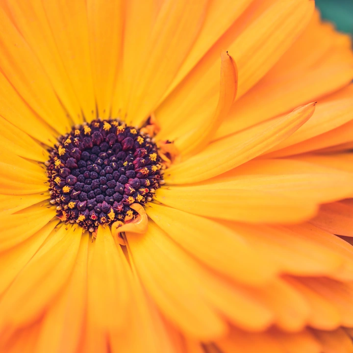 这是一篇来自春天的文章