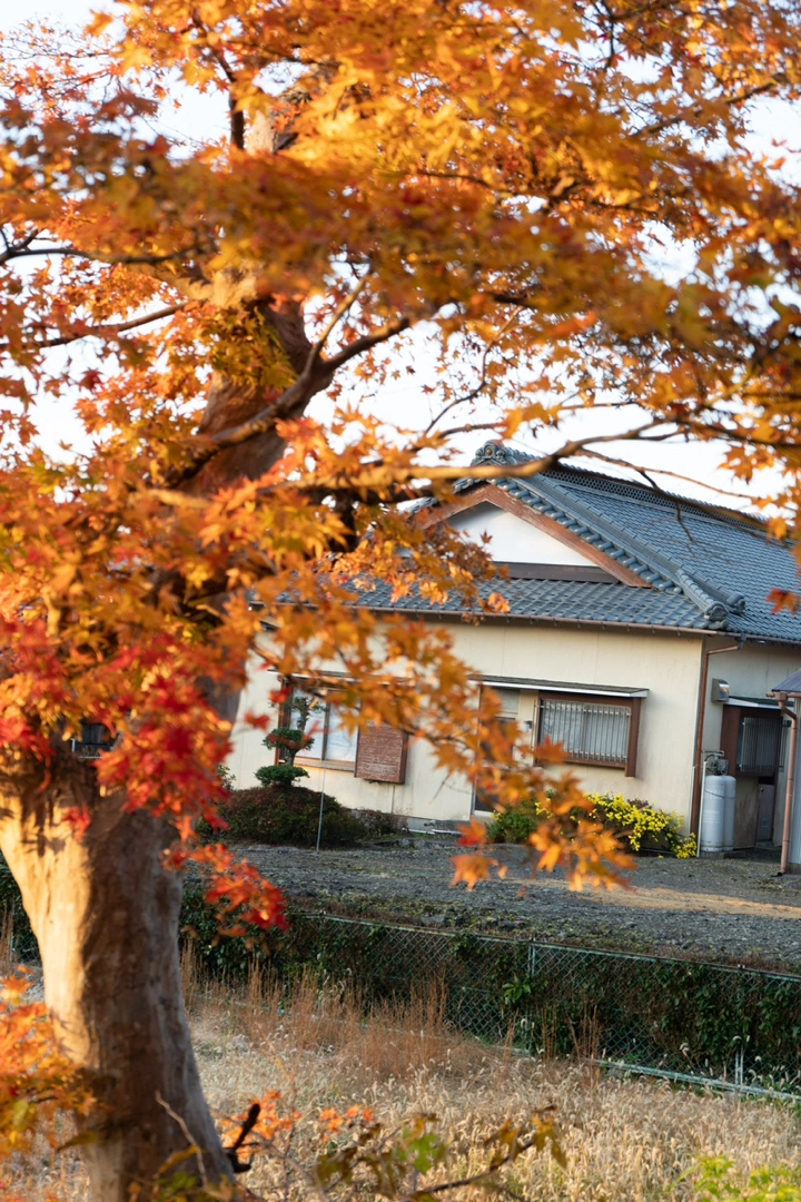 照片变油画ps后期制作