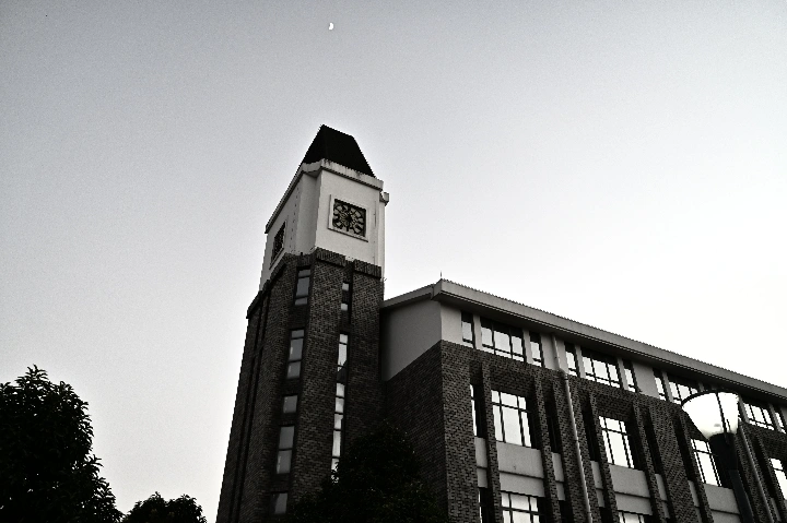 |聊聊器材| 套头≠狗头！NIKKOR Z 24-70mm f/4 S