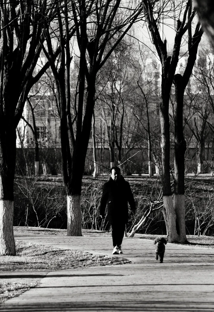 当世界褪去色彩：我的黑白扫街日记与光影哲学