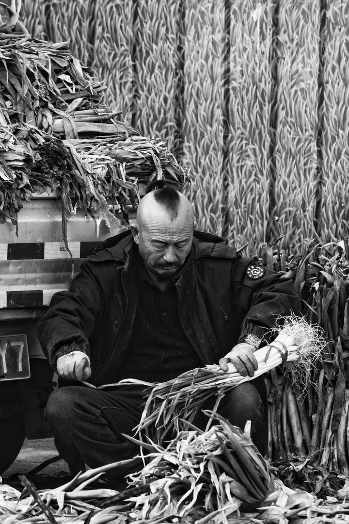 当世界褪去色彩：我的黑白扫街日记与光影哲学