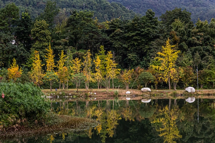 秋染小山村