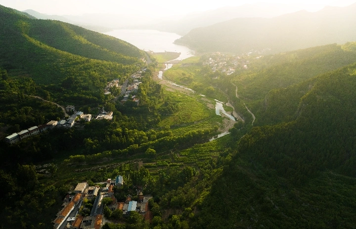 旅行志 | 水库牧羊人