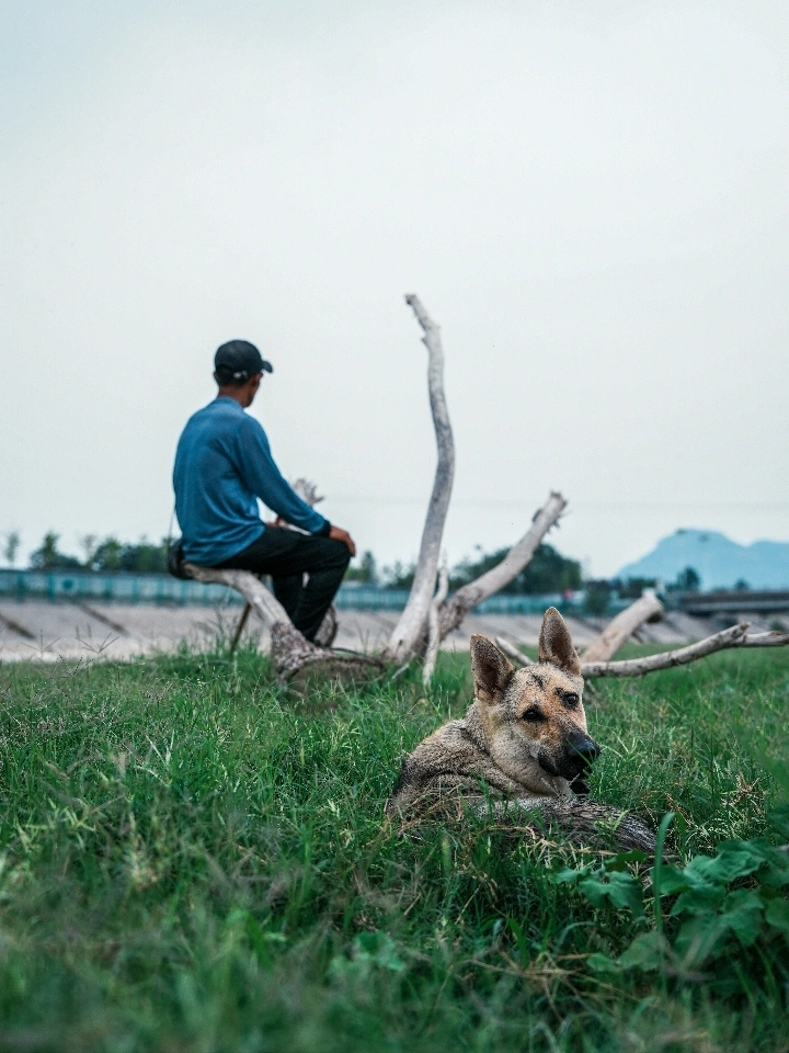 旅行志 | 水库牧羊人