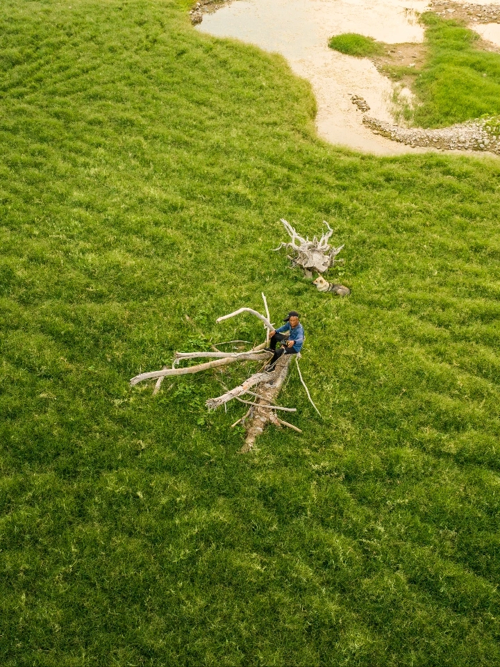 旅行志 | 水库牧羊人