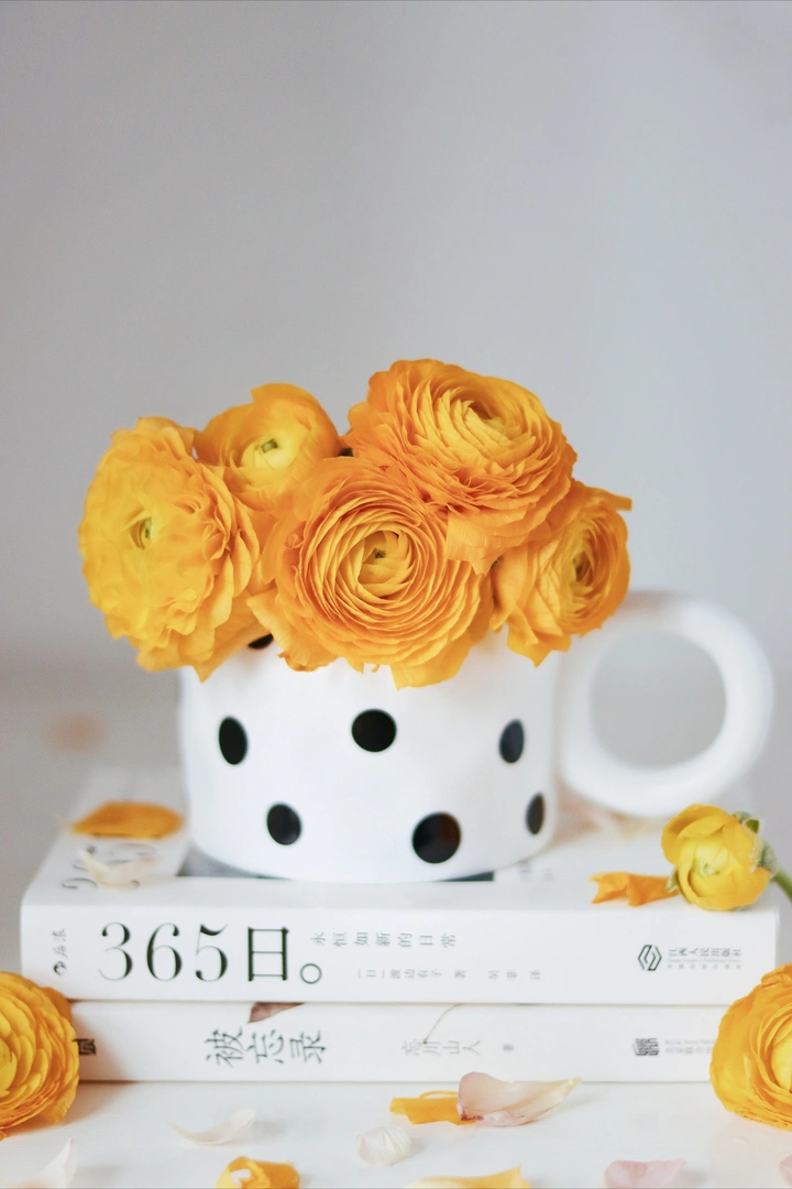 洋牡丹的养护方法