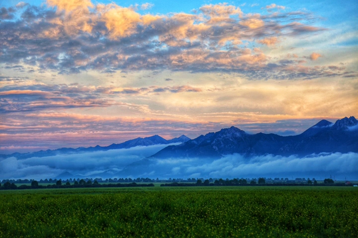 最美的年华,去看一场花事!
