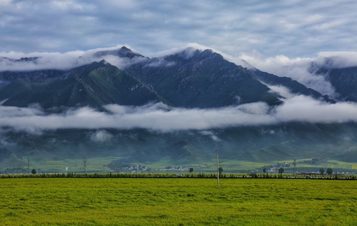最美的年华,去看一场花事!