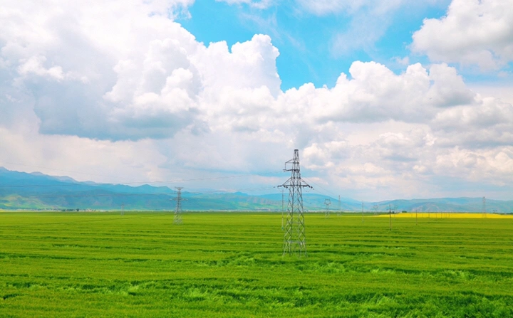 最美的年华,去看一场花事!