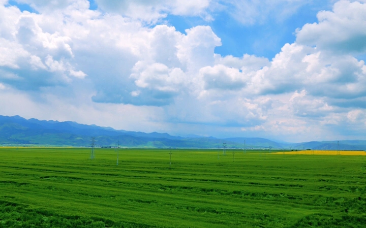 最美的年华,去看一场花事!