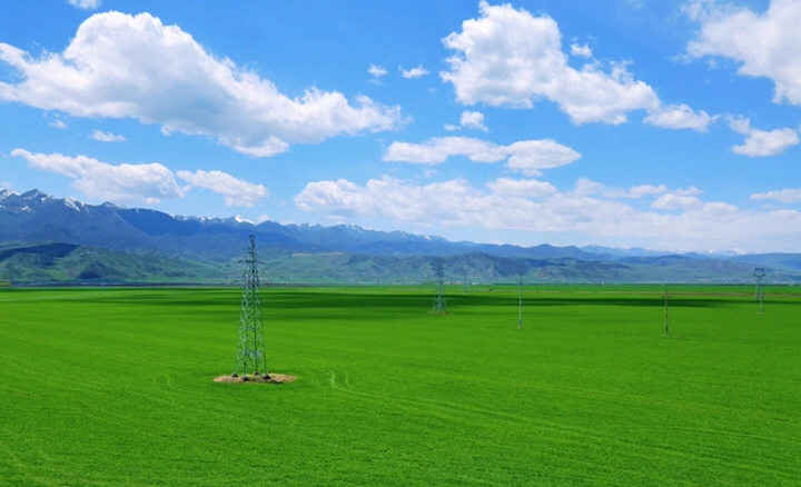 最美的年华,去看一场花事!