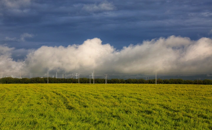最美的年华,去看一场花事!