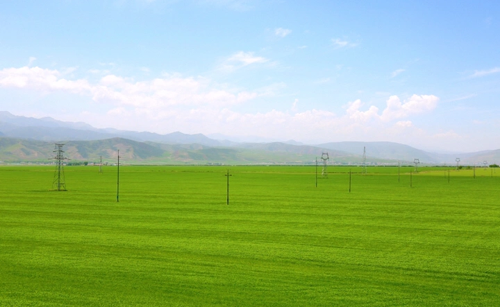 最美的年华,去看一场花事!