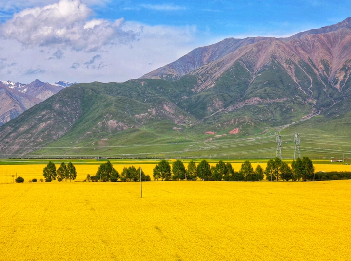 最美的年华,去看一场花事!