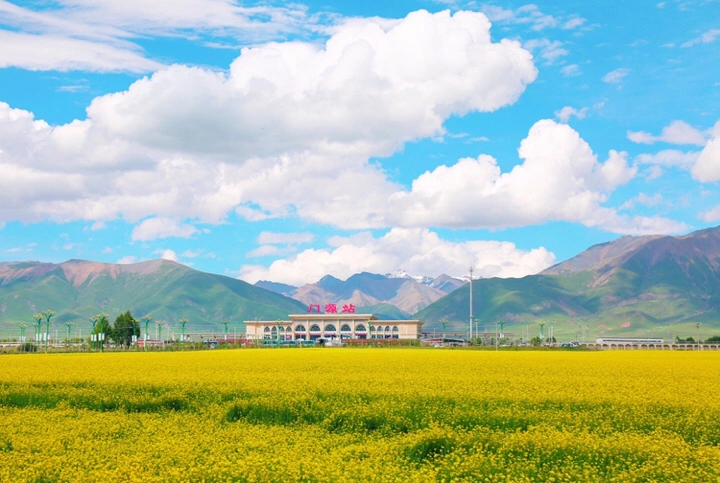 最美的年华,去看一场花事!