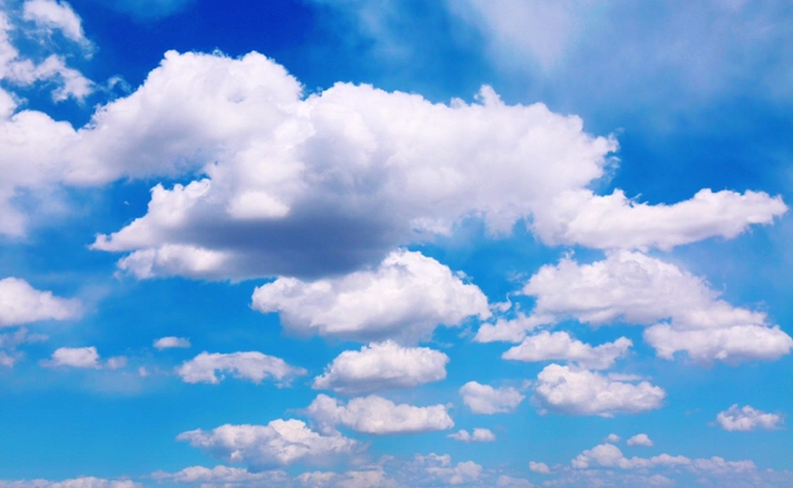 最美的年华,去看一场花事!