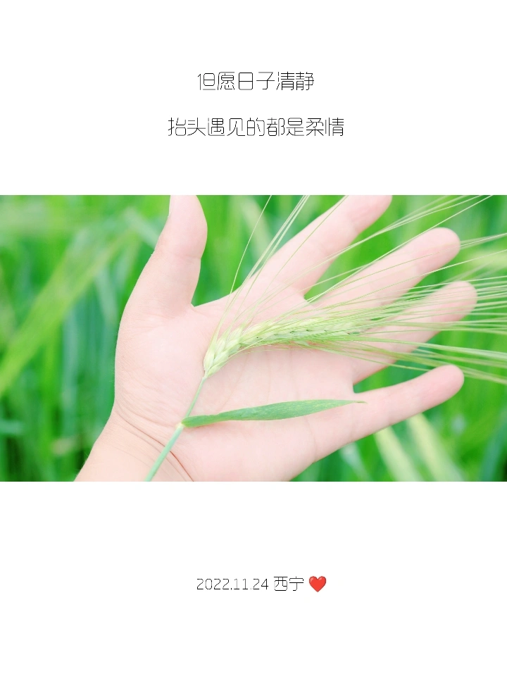 你们的朋友圈文案，我全包了！