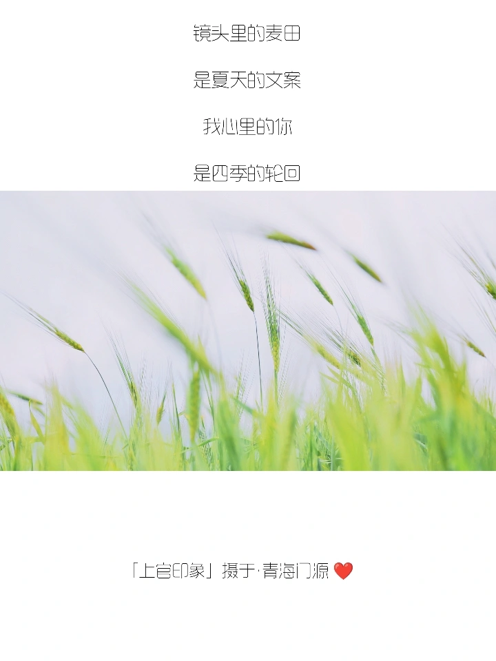 你们的朋友圈文案，我全包了！