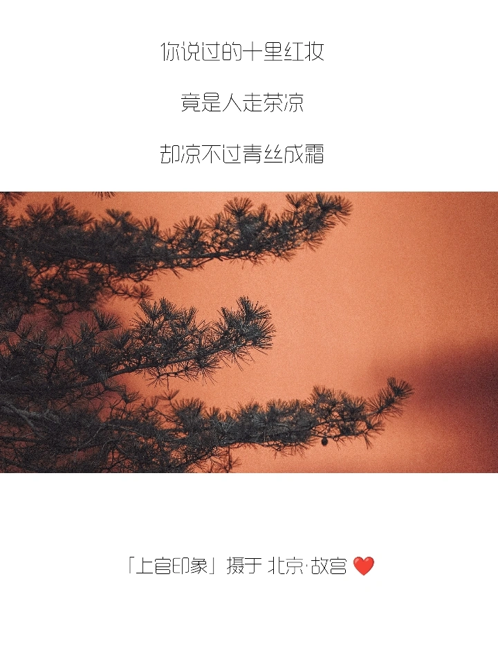 你们的朋友圈文案，我全包了！