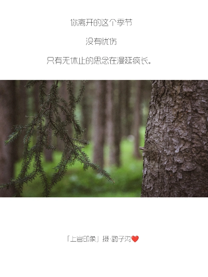 你们的朋友圈文案，我全包了！