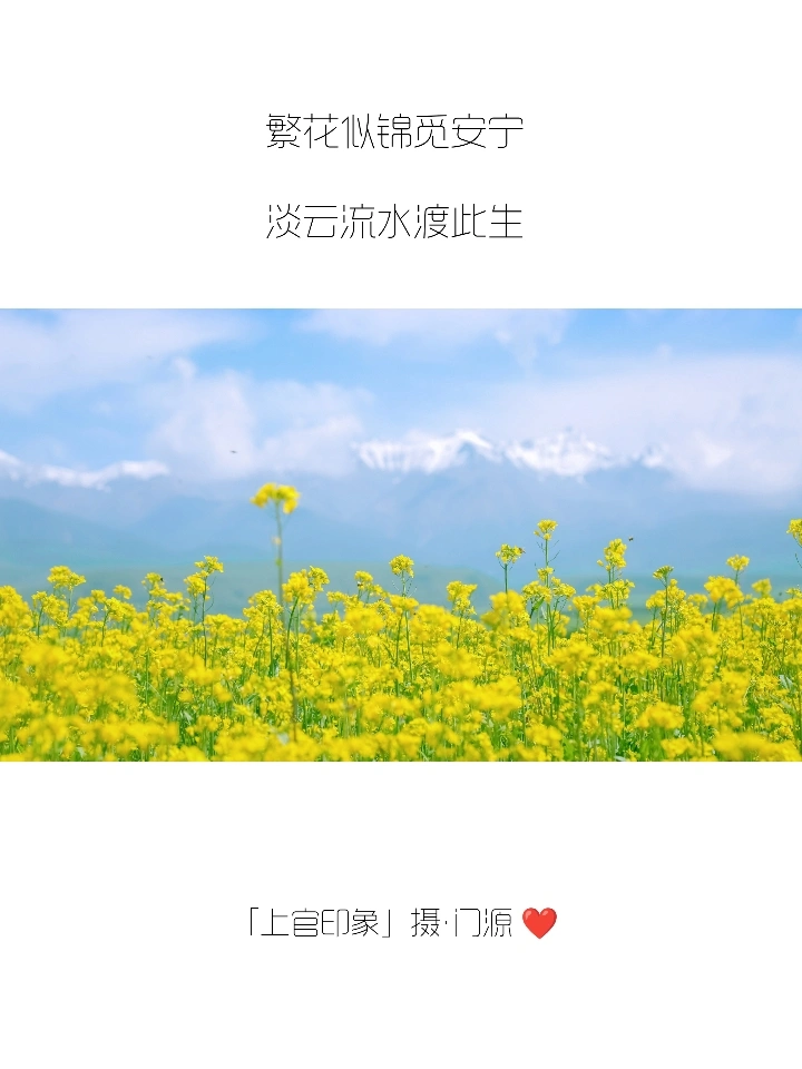 你们的朋友圈文案，我全包了！